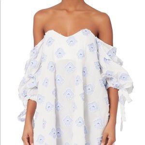 carolina constants gabriella bustier dress